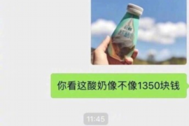 广水广水的要账公司在催收过程中的策略和技巧有哪些？