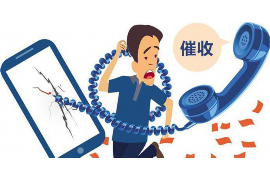广水为什么选择专业追讨公司来处理您的债务纠纷？